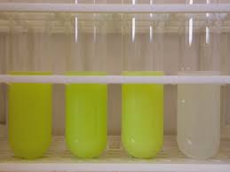 More the intensity of yellow colour, more is the intensity of ALP enzyme in the milk