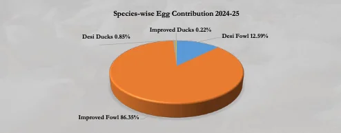 Species-wise Egg Contribution 2024-25