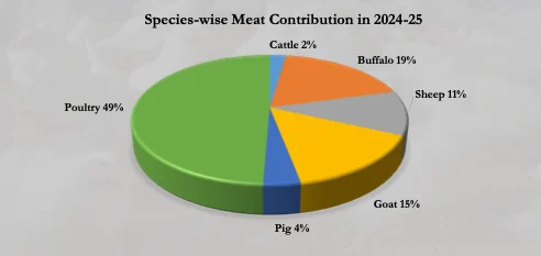 Species-wise Meat Contribution in 2024-25