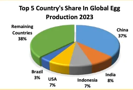 Top Five Country's Share in Global Egg Production during 2023