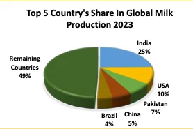 Top Five Country's Share in Global Milk Production during 2023