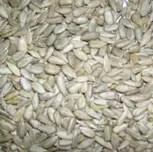 http://www.germes-online.com/direct/dbimage/50240834/Sunflower_Seed_Kernels.webp