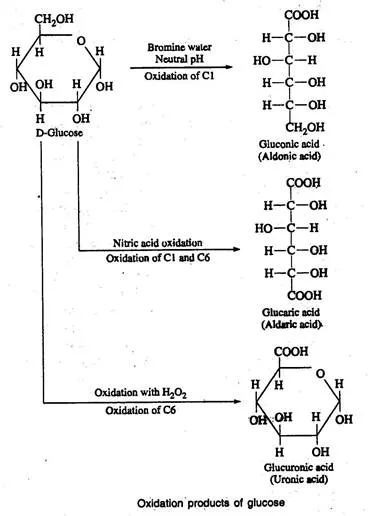 lec02_clip_image005.webp