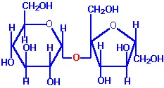 lec03_clip_image003.webp