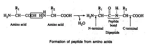 lec11_clip_image004.webp