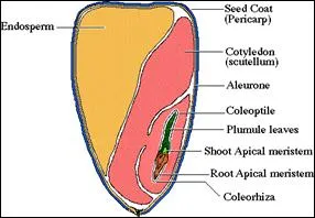 lec07_clip_image010.webp