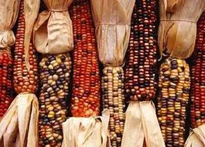 lec07_clip_image015.webp