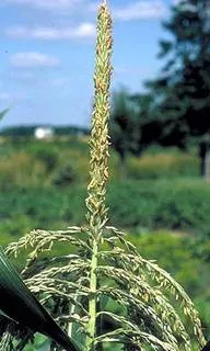 lec08_clip_image004.webp