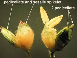 lec11_clip_image004.webp