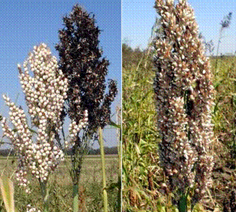 lec11_clip_image007.gif
