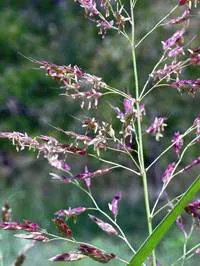 lec12_clip_image002.webp