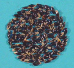 lec12_clip_image004.gif
