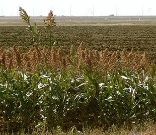 lec12_clip_image006.webp