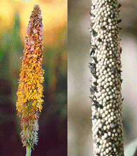 lec13_clip_image005.gif