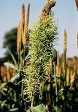 lec13_clip_image010.webp
