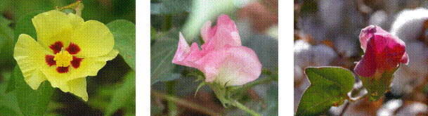 lec14_clip_image005.gif