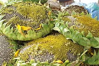 lec15_clip_image008.webp