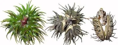 lec16_clip_image006.webp