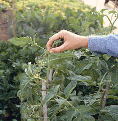 lec04_clip_image002.gif