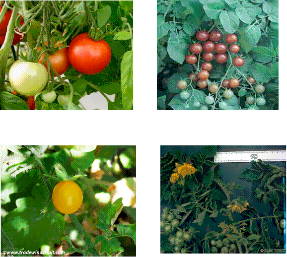 lec04_clip_image005.gif