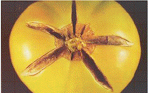 lec04_clip_image006.gif
