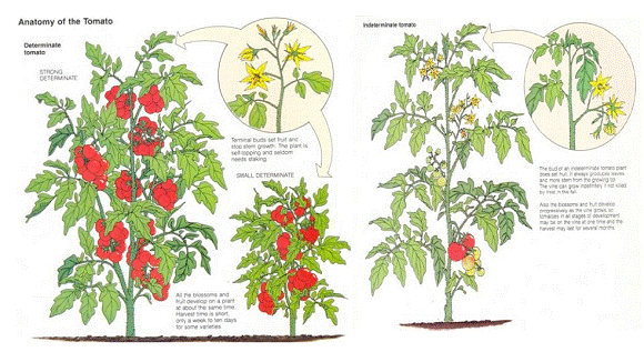 lec04_clip_image007.gif