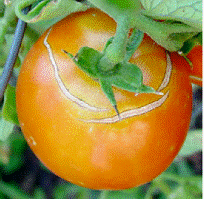 lec04_clip_image008.gif