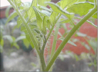 lec04_clip_image009.gif
