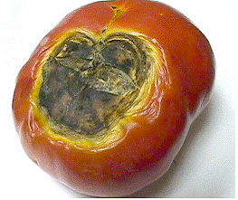lec04_clip_image010.gif