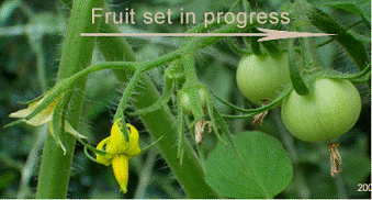 lec04_clip_image011.gif