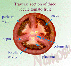 lec04_clip_image013.gif