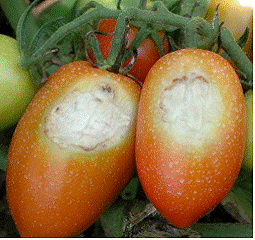 lec04_clip_image014.gif