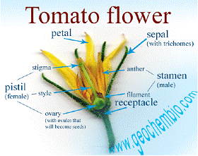 lec04_clip_image015.gif