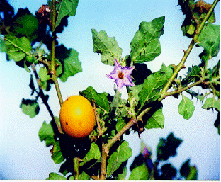 lec05_clip_image002.gif