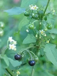 lec05_clip_image006.webp