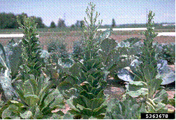 lec12_clip_image002_0000.gif