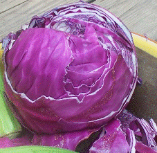 lec12_clip_image006.gif