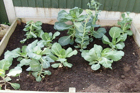 lec12_clip_image006_0000.gif