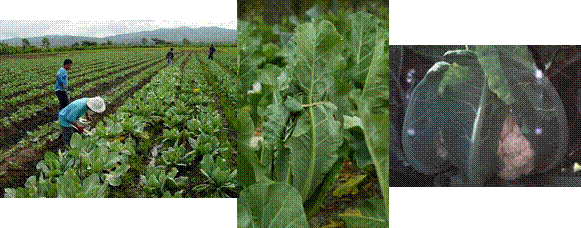 lec13_clip_image004.gif