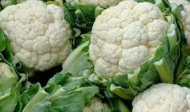 http://www.channel4.com/food/images/mb/Channel4/4Food/ontv/jamie/jamie-at-home/series2/growing-guides/cauliflower/growing_guide_cauliflower_ahero.webp