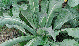 lec13_clip_image008.gif