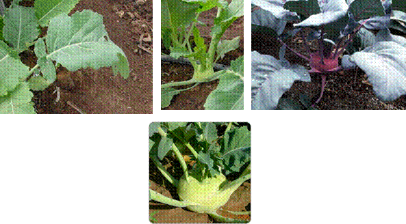 lec14_clip_image005.gif
