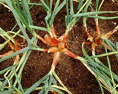 lec15_clip_image012.gif