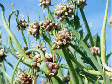 lec15_clip_image016.gif