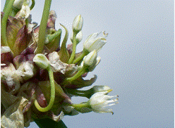 lec15_clip_image024.gif