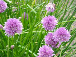 lec15_clip_image028.gif