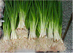 lec15_clip_image032.gif