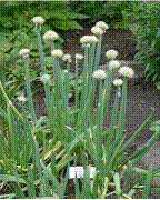lec15_clip_image034.gif