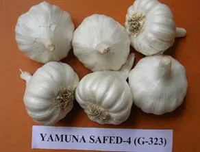 http://www.nhrdf.com/htmlfiles/Garlic/gar_va1.gif