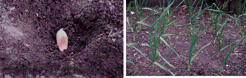 lec16_clip_image009.gif